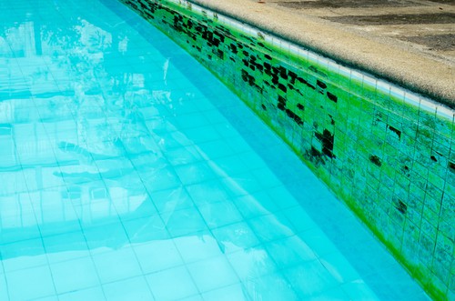 How To Kill Algae In Pool?