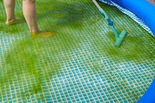How To Kill Algae In Pool?