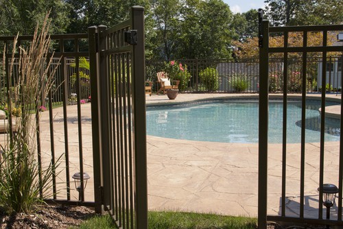 17 Best Ways To Get Rid Of Insects In Your Swimming Pool
